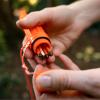 imageCoghlans 5in1 Survival Aid Kit  Compact Emergency Tool with Waterproof Matchbox Compass Fire Starter Signal Mirror and Whistle for Camping Hiking Outdoors and Emergency Preparedness