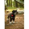 imageCoghlans Magnetic Bear Bell with Silencer Red  Outdoor Safety for Hiking Camping and Wildlife Protection  Noise Alert Deterrent for Bears and Other Wildlife