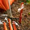 imageCoghlans Ultralight Tent Stakes 9 Inch  4 Pack  Lightweight Aluminum Pegs with Easy Pull Nylon Cord for Camping Hiking and Backpacking Durable Outdoor Gear for Secure Tent Setup
