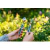 imageCoghlans Folding Cutlery Set  Lightweight Stainless Steel Knife Fork and Spoon for Camping Backpacking Travel and Outdoor Dining  Compact and Portable UtensilsOne Size Pack of 6