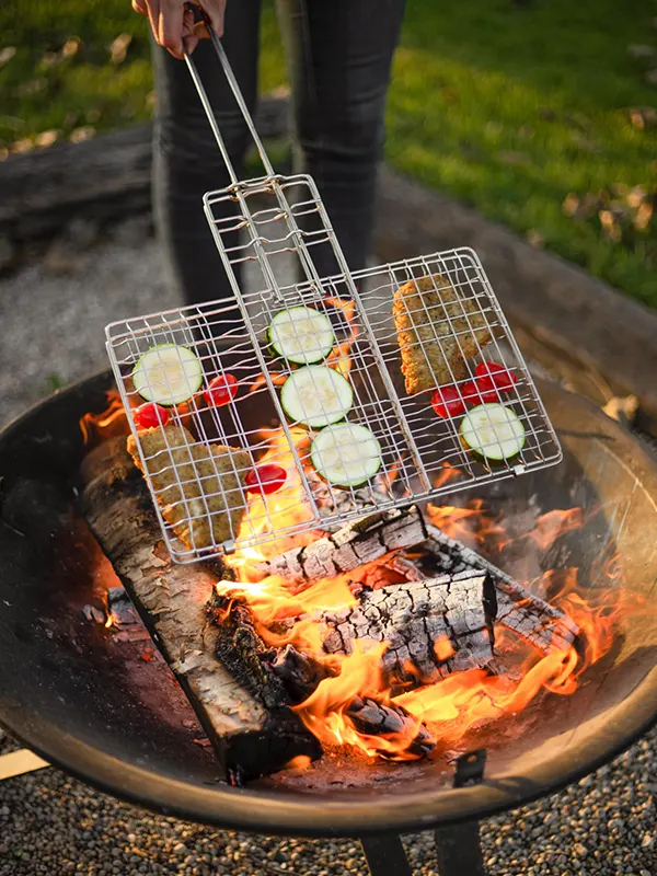 Deluxe Broiler