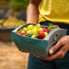 imageCoghlans Snapfold Mini Colander  1Quart 95 L Compact Collapsible Strainer for Pasta Vegetables Fruit SpaceSaving SelfStanding with Handles for Camping and Outdoor Kitchens Mini SizeMini  1 Quart